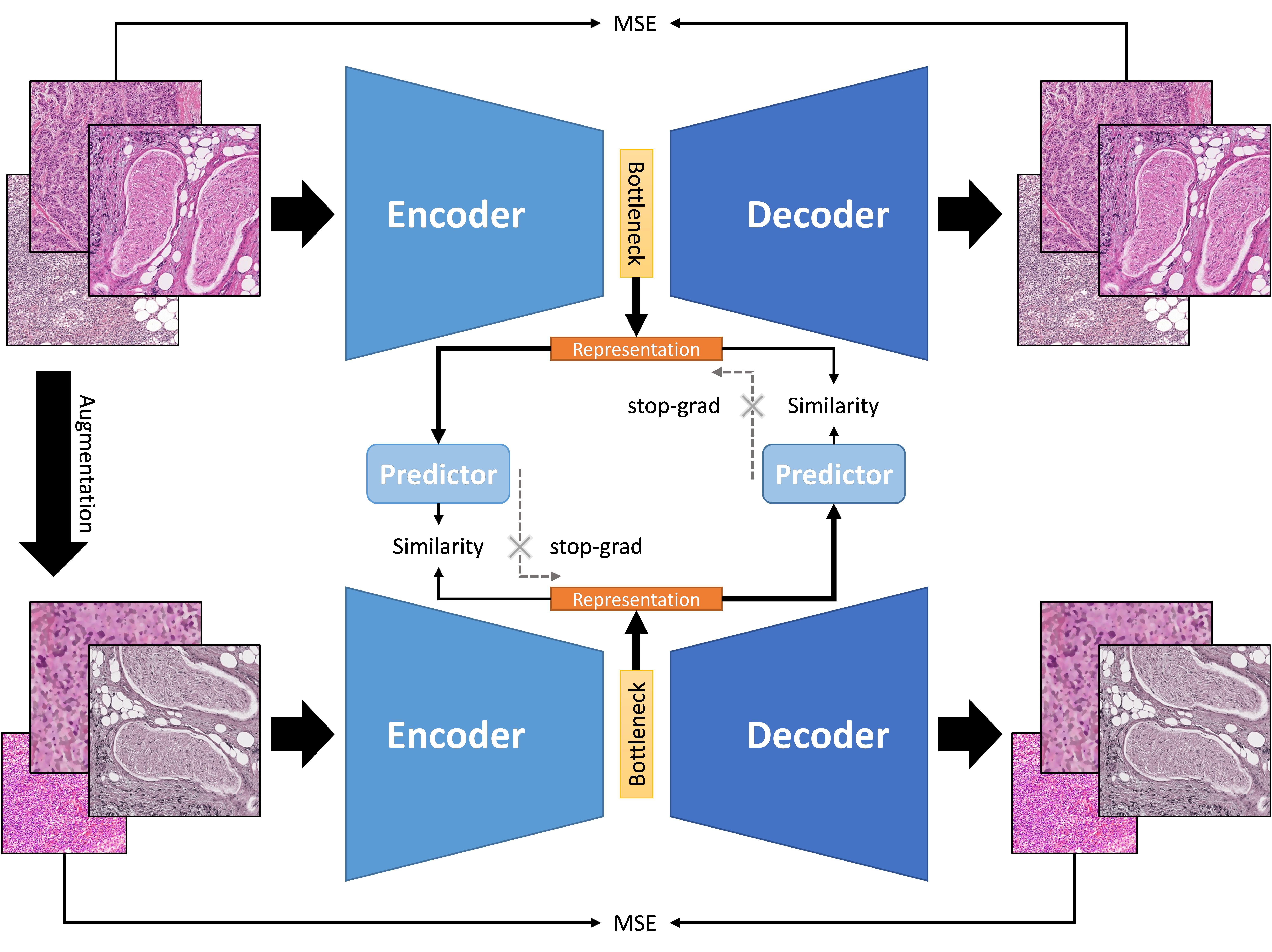 HistoLite framework figure