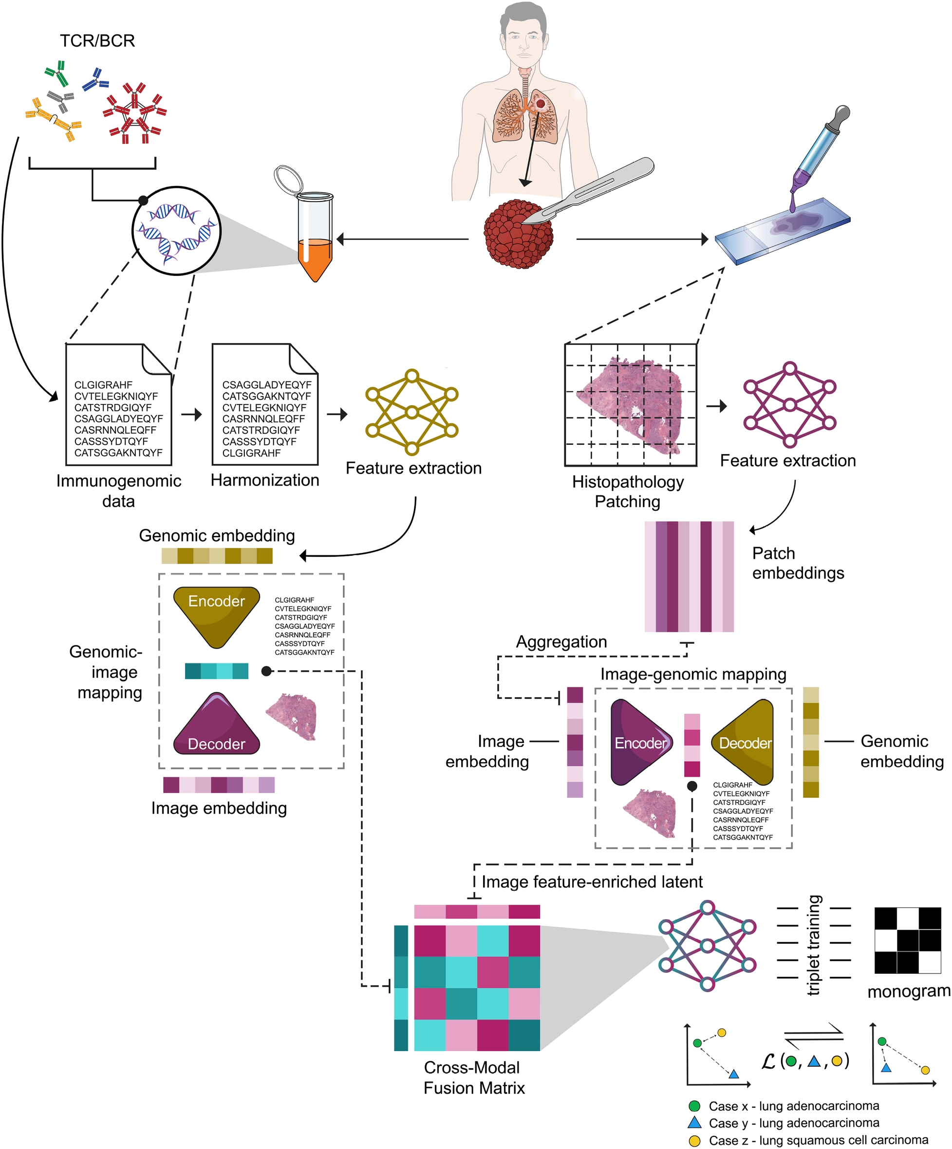 MarbliX framework figure